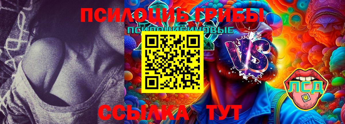 Псилоцибиновые грибы Magic Shrooms  Вход с VPN  Кыштым 