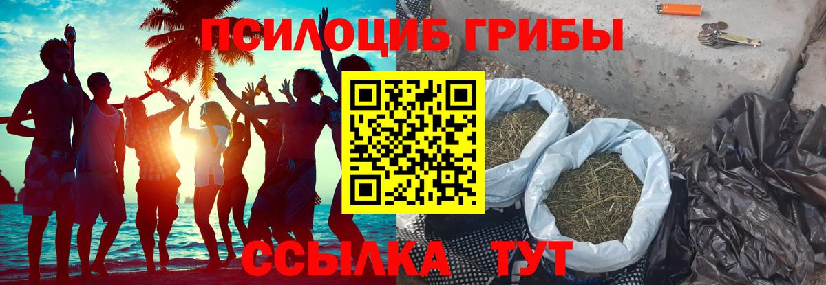 Псилоцибиновые грибы Psilocybine cubensis Кыштым